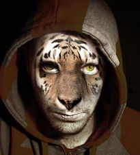 EyeOfTheTiger