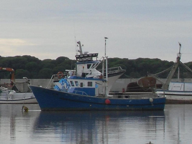 marina