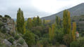 COLORES DEL OTOÑO