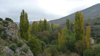 Colores del otoño