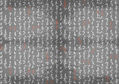 Escrito sobre el cuerpo 10
