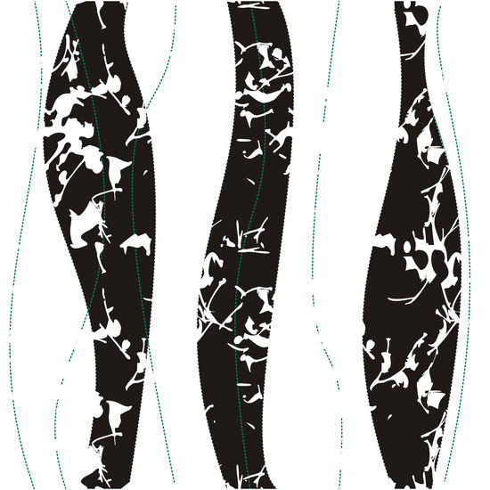 Formas Naturales C3 