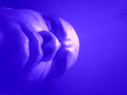Autorretrato/azul