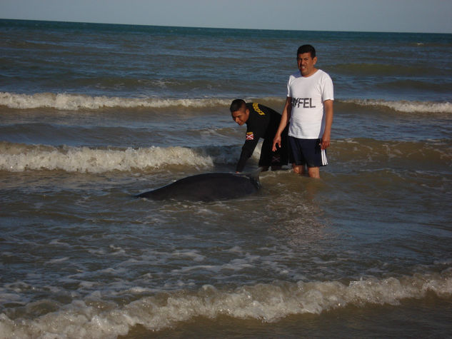 RESCATANDO AL MAR Y SU VIDA 