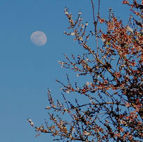 La luna sobre el...