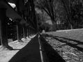 Perspectiva 1