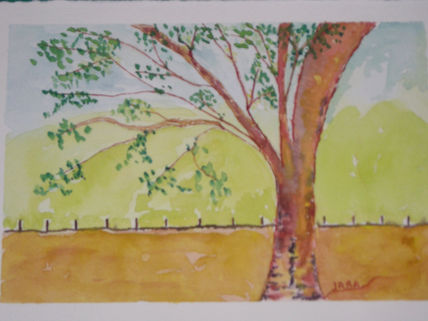 Arbol