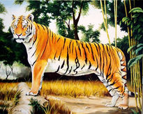 Tigre