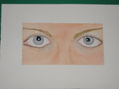 ojos