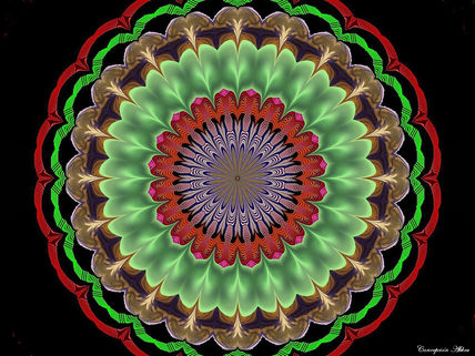 05