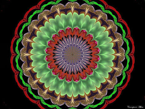 05