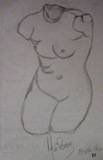 Torso femenino