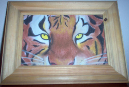 Tigre