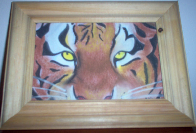 Tigre