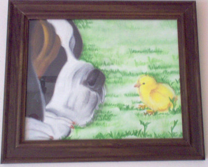 SanBer pollito