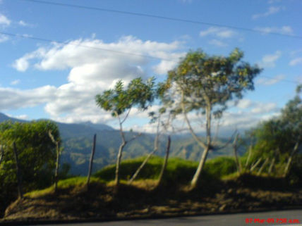 Paisajes en la via 6