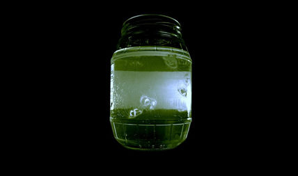Medusas