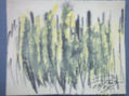 NUDITY OF COLOURS XIII