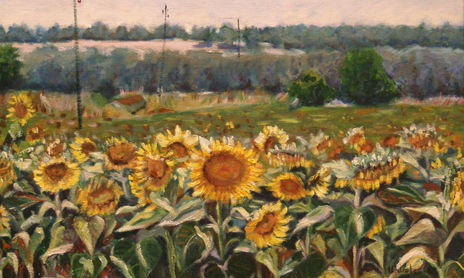 Paisaje