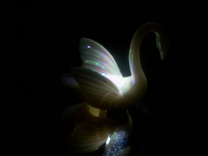 Cisne