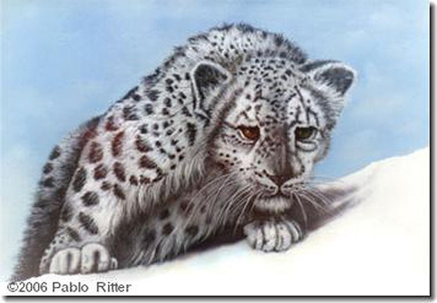 snow  leopard