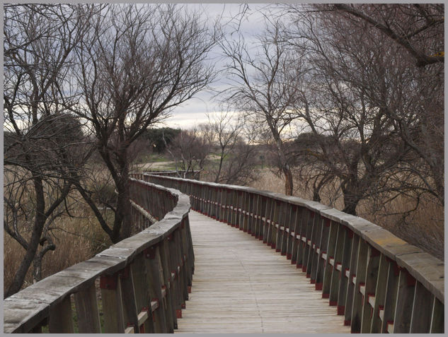 Invierno en las Tablas 