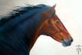 cabeza de caballo