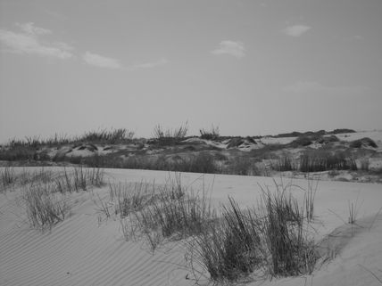 Por las Dunas