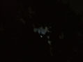 moonstruck i