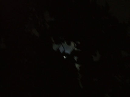 Moonstruck i