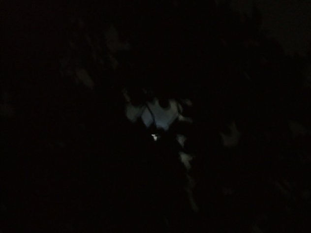 moonstruck i