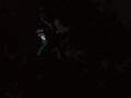 MOONSTRUCK II