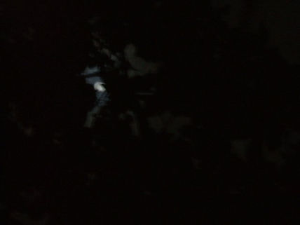 Moonstruck ii