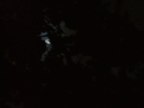 Moonstruck ii