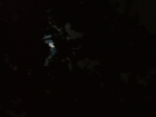 MOONSTRUCK II