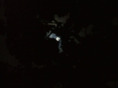 Moonstruck iii