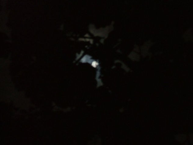 MOONSTRUCK III