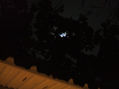 MOONSTRUCK V