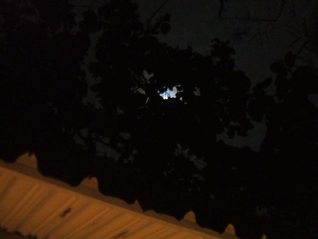 MOONSTRUCK V