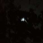 SIDE OF THE MOON thumbnail 2
