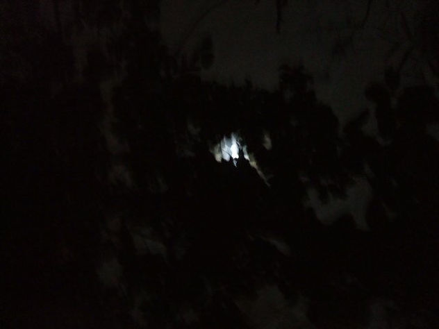MOONSTRUCK VI