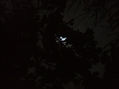 MOONSTRUCK VII