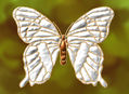 Mariposa Blanca