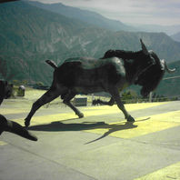 obra