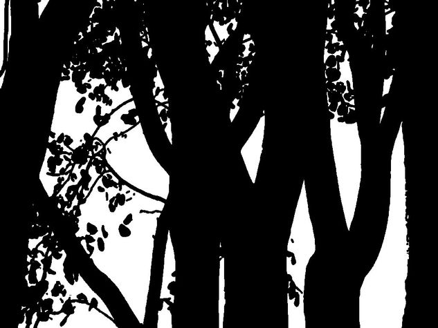 bosque Nature Black and White (Digital)