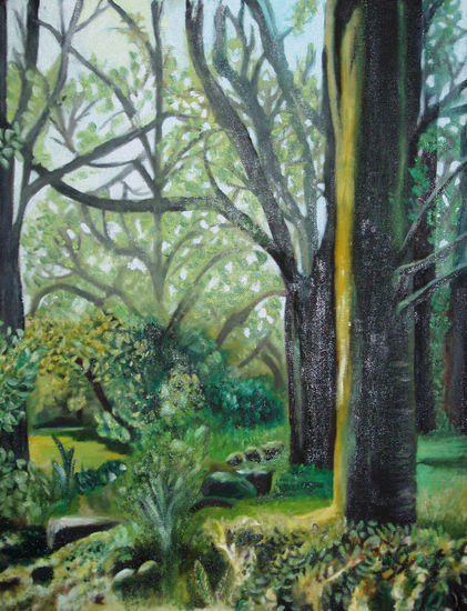 oxigeno Oil Canvas Landscaping