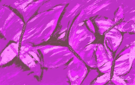 " Dinami-violetas "