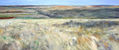 PAISAJE DE SORIA