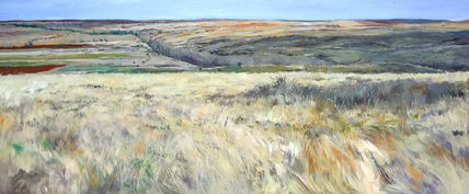 Paisaje de soria