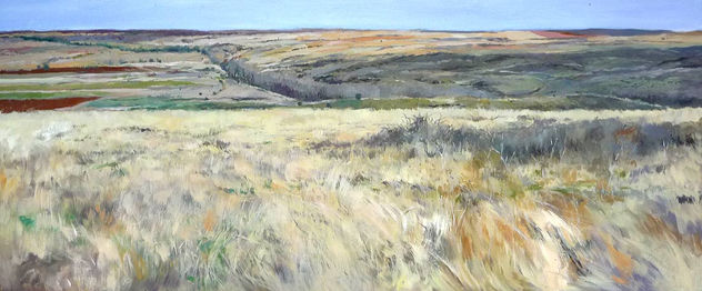 PAISAJE DE SORIA
